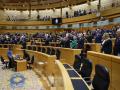 La bancada del Gobierno en el Pleno de este jueves en el Senado. Sin Sánchez