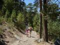 Woman and girl from behind walking along a trail on the Camino Schmidt route among trees in a forest in the Guadarrama mountains, in summer, in Madrid, Spain