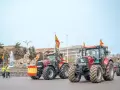Varios tractores circulan por Cibeles, en Madrid