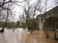 Río Duero a su paso por la localidad vallisoletana de Quintanilla de Onésimo