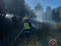 Efectivos de Bomberos de Mallorca trabajan para apagar las llamas en la zona de es Gorg Blau
