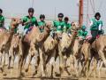 Carrera de camellos en el Golfo Përsico