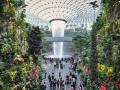 El vórtice de la lluvia The Jewel, la imagen más famosa del aeropuerto de Changi
