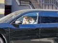 Ester Expósito  y  Kylian Mbappe este miércoles en Madrid 


******EXCLUSIVE**********