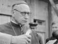 El cardenal József Mindszenty