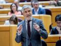El ministro del Interior, Fernando Grande Marlaska, en el Senado