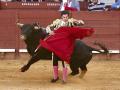 Morante de la Puebla con su primer toro en Jerez