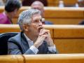 El ministro del Interior, Fernando Grande-Marlaska, este martes en el Senado