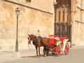 Caballo al sol