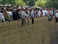 Multitud de espectadores asisten al ahorcamiento de un recluso en Irán