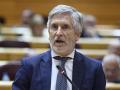 Imagen del ministro del Interior, Fernando Grande-Marlaska