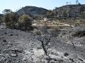 Estragos del incendio de Los Gallardos