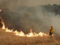 Los bomberos combaten un incendio forestal en la zona de Cebreros, cerca de Ávila