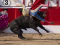 El diestro Marco Pérez tras sufrir una cogida en su faena durante la corrida de toros celebrada este sábado en la Feria de Santiago de Santander.