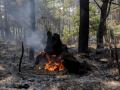 Puntos calientes tras el paso del incendio forestal, a 27 de julio de 2026