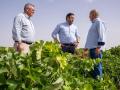 Núñez reclama ampliar la Directiva Marco del Agua para evitar el cierre del 70% de los pozos de La Mancha