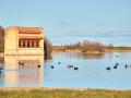 Observación de aves en la Laguna de Villafáfila con muchas aves en el agua