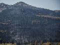 Paisaje en La Mierla tras los incendios