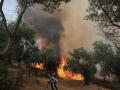 Imagen de uno de los incendios que acorralan a Grecia
