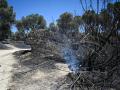 Zonas calcinadas tras el paso del incendio de la Sierra Oeste de Madrid, a 30 de julio de 2026