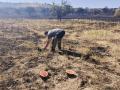 Vecinos de Fermoselle (Zamora) dan de comer a la fauna que se hasalvado de las llamas, esparciendo fruta y cereal por el campo