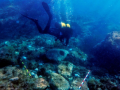 Anclas líticas en el yacimiento subacuático de Els Farallons de la Isla de Tabarca (Alicante)