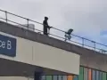 Leon Gillespie subido en la azotea del hospital