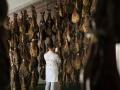 Ibéricos Guillén nació en 1971 en Guijuelo, cuando empezaron a elaborar y comercializar productos derivados del cerdo ibérico