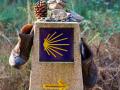 El Camino de Santiago