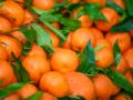 Clementinas en un supermercado