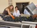 Ayuso ha visitado este lunes la bodega Las Moradas de San Martín, en San Martín de Valdeiglesias