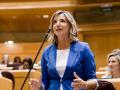 La portavoz del PP en el Senado, Alicia García