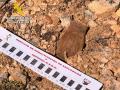 Desactivan una granada originaria de la Guerra Civil localizada por un senderista en Abánades