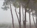 Imagen de un reventón húmedo en la localidad valenciana Corbera