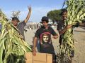 nmigrantes de Marruecos con ramas para construirse una choza en la playa del trampolín este lunes en Ceuta