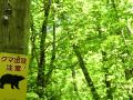 Señal que alerta de la presencia de osos en un bosque de Japón