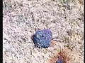 Supuesto meteorito que ha caído recientemente en Cuba