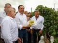 El presidente de la Generalitat Valenciana, Juanfran Pérez Llorca, asiste al acto del Primer Corte de la Uva Embolsada del Vinalopó
