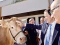 El presidente de la Junta de Castilla y León, Alfonso Fernández Mañueco, inaugura la Feria Salamaq 2026