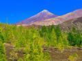Paisaje de la isla de Tenerife