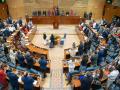 El hemiciclo de la Asamblea de Madrid durante una sesión plenaria