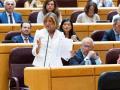 La portavoz del PP en el Senado, Alicia García, interviene durante una sesión plenaria en el Senado
Jesús Hellín / Europa Press
08 SEPTIEMBRE 2026;SENADO;PLENO;
08/9/2026