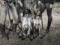 Hunters with German Shorthaired Pointers