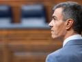 El presidente del Gobierno, Pedro Sánchez, interviene durante una sesión de control al Gobierno.