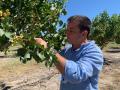 Alfredo Pérez, gerente de Pistacyl