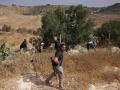 Un colono israelí armado evacúa a palestinos y a activistas israelíes de una zona de plantación de olivos en la localidad de Idna, cerca de la ciudad de Hebrón, en la Cisjordania