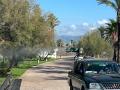 Trabajos de fumigación de mosquitos en Castellón
