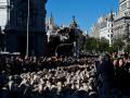 Fiesta de la Trashumancia por las calles de Madrid