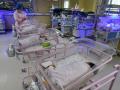 Bebés recién nacidos en China