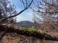 Fotografías panorámicas tomadas en el edificio volcánico de Cumbre Vieja mientras Pevolca analiza medidas de emisión de gases